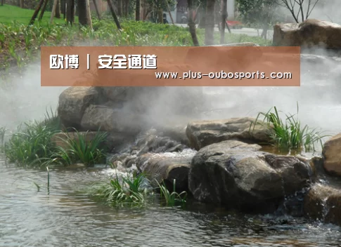案例展示五(图1)
