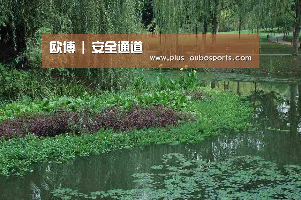 案例展示一(图1)