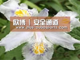 产品名称二