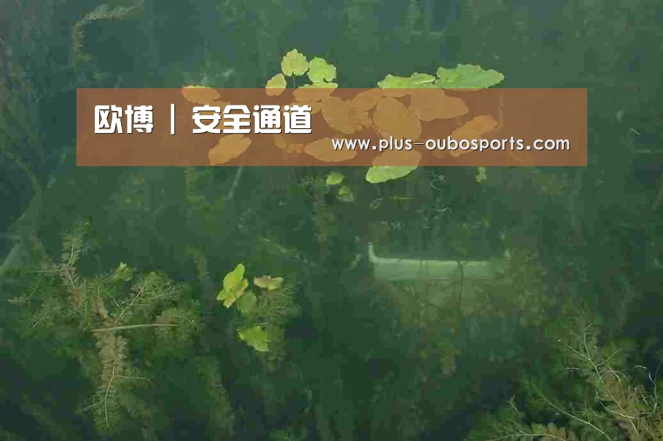 案例展示三