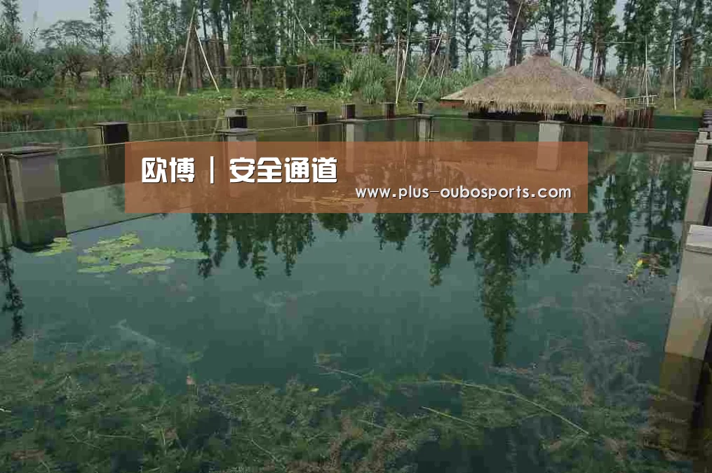 案例展示二