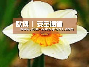 产品名称四