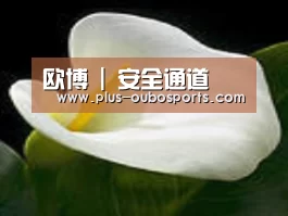 产品名称七