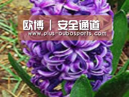 产品名称八