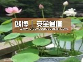 产品名称一
