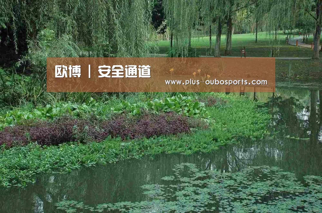 案例展示一