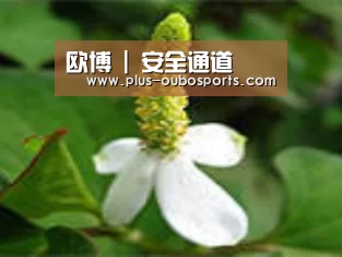 产品名称三