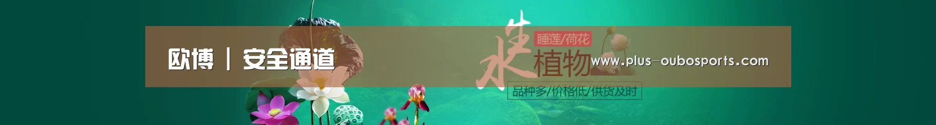 鲜花水草花卉网站模板
