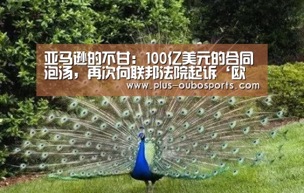 亚马逊的不甘:100亿美元的合同泡汤,再次向联邦法院起诉‘欧博入口’(图1) 欧博入口