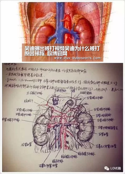 吴迪曝出被打视频吴迪为什么被打原因揭秘_欧博官网(图4) 欧博官网