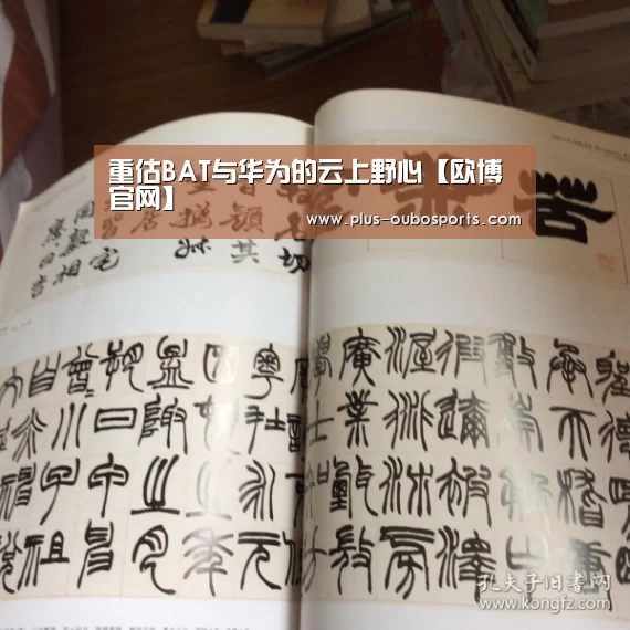 重估BAT与华为的云上野心【欧博官网】(图1) 欧博官网
