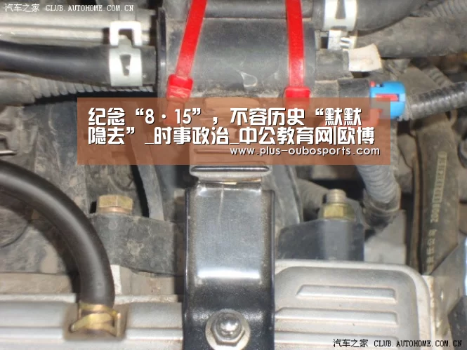 纪念“8·15”,不容历史“默默隐去”_时事政治_中公教育网|欧博入口(图1) 欧博入口