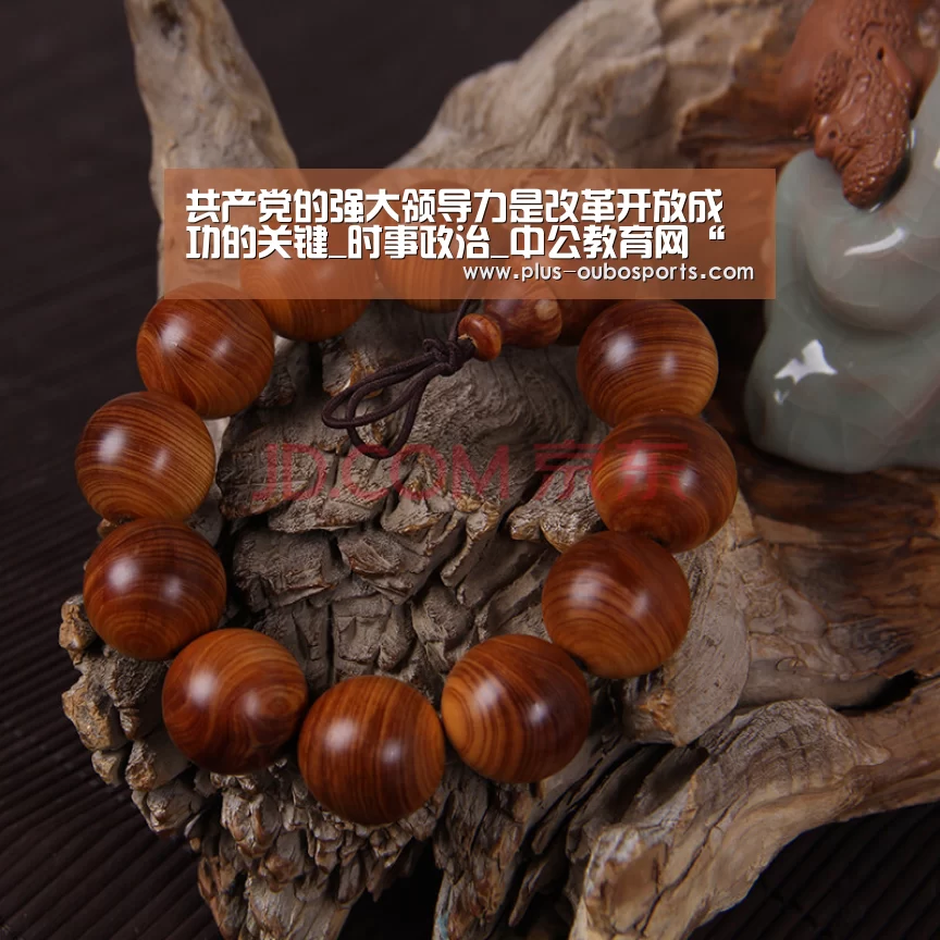 共产党的强大领导力是改革开放成功的关键_时事政治_中公教育网“欧博入口”(图2) 欧博入口