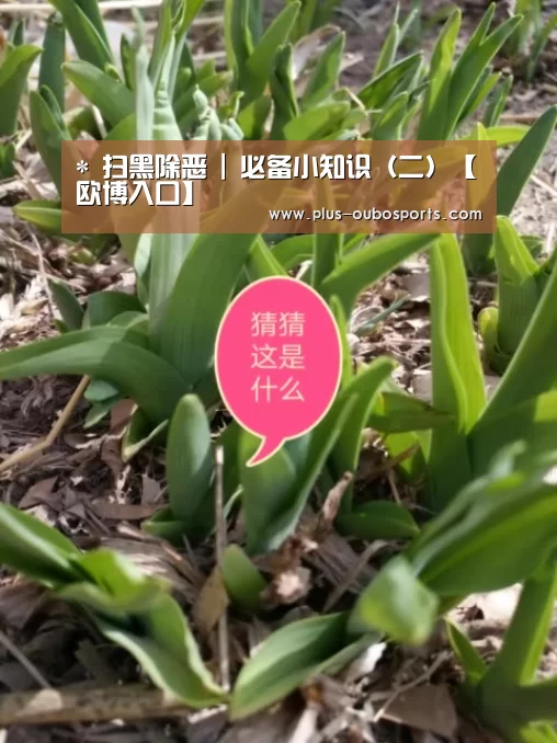 *
扫黑除恶 | 必备小知识(二)【欧博入口】(图4) 欧博入口