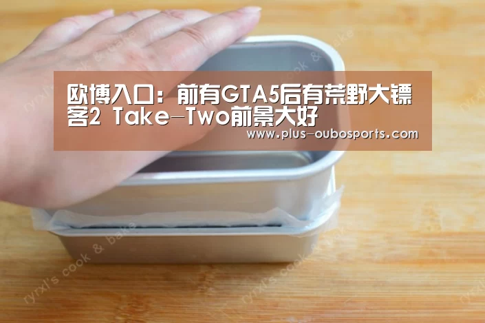 欧博入口:前有GTA5后有荒野大镖客2 Take-Two前景大好(图1) 欧博官网