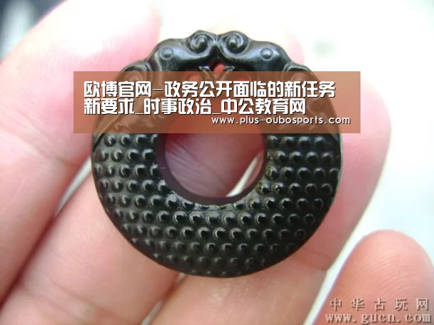 欧博官网-政务公开面临的新任务新要求_时事政治_中公教育网(图1) 欧博入口