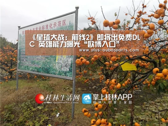 欧博入口