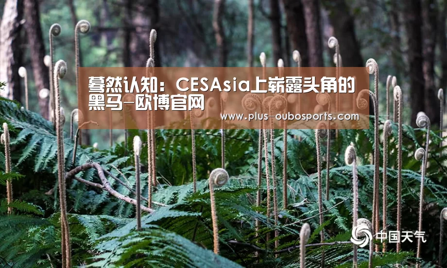 欧博官网